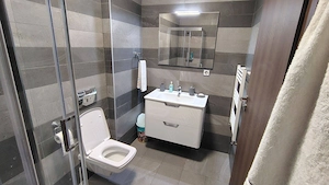 Apartament de inchiriat - imagine 8