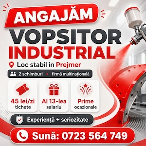  Dewulf angajeaza  : Vopsitor  industrial 