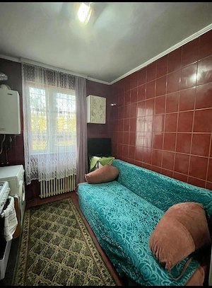Apartament 1 cam.D, cu CT, Bd. Chimiei  Pod Metalurgiei - imagine 4