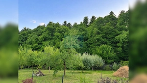Casă P+M cu teren de 1.000 mp, situată la marginea pădurii - imagine 5