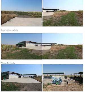 Proprietate imobiliara industrial-agricola   Com. Becicherecu Mic, jud. Timis