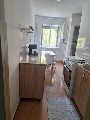 Apartament 2 camere Arad, recent renovat, cartier Vlaicu de inchiriat - imagine 4