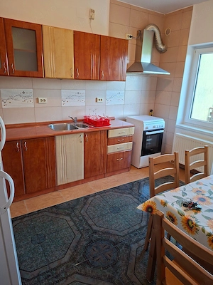 Chirie casa duplex in Buna Ziua - imagine 7