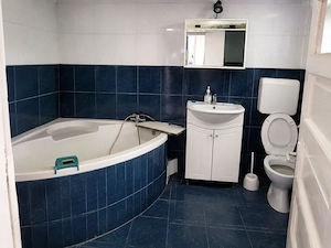 Vand casa cu curte cu gradina, situata central.  - imagine 2