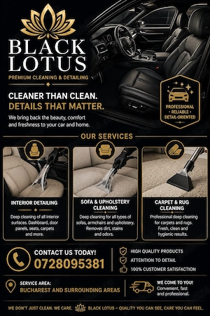   Black Lotus   Detailing Interior Auto & Curățare Profesională la Domiciliu | București și Împrejur