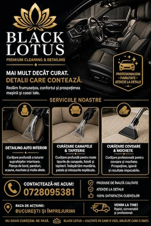   Black Lotus   Detailing Interior Auto & Curățare Profesională la Domiciliu | București și Împrejur - imagine 2