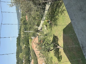 casa , curte , livada cu pomi fructiferi. zona langa padure , aproape de intratea pe autostrada. - imagine 10