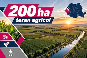 200 ha teren agricol de vanzare in Arad - imagine 2