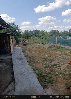 Vând casa sau schimb cu apartament in Aleșd  - imagine 4