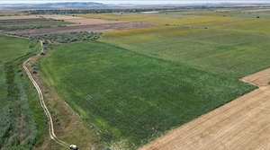Vand teren agricol 4,6398 HA Iazurile Valea Nucarilor Tulcea - imagine 2