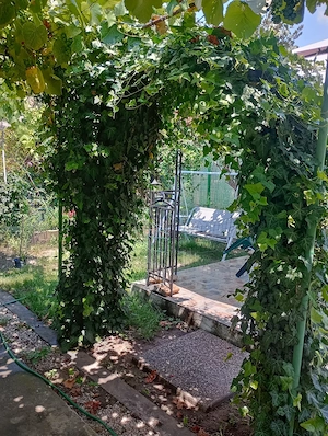 Apartament 4 camere Elisabetin curte comuna - imagine 2