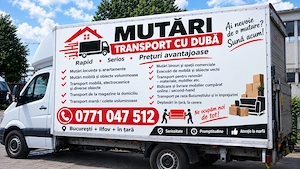 Transport si mutari duba