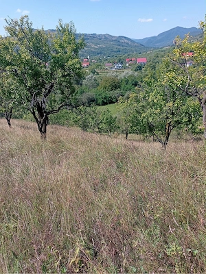 Teren extravilan de vânzare   Chiojdu, județul Buzău   3.100 m  - imagine 3