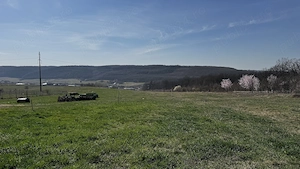 Teren intravilan de vânzare în Betfia, Sânmartin   1.436 mp, asfalt și utilități la gard - imagine 2