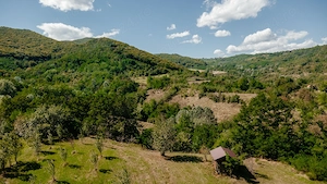 Teren de vânzare   5.100 mp, în localitatea Marunțișu, oraș Pătârlagele Ideal pentru casă de vacanță - imagine 2
