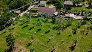 Teren de vânzare   5.100 mp, în localitatea Marunțișu, oraș Pătârlagele Ideal pentru casă de vacanță - imagine 5