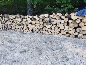 vand lemne de foc esenta tare fag transport la domiciliu 