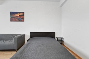 Proprietar particular inchiriez studio- Bd.Timisoara (Plaza Mall) - imagine 4
