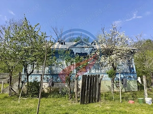 CASA LA 20 KM DE CRAIOVA CU 10000 MP. TEREN - imagine 2