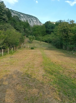 Casă de vânzare cu1697 m2 teren Băile Herculane - imagine 5
