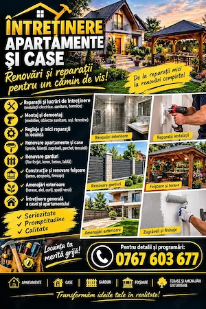 Întreținere 