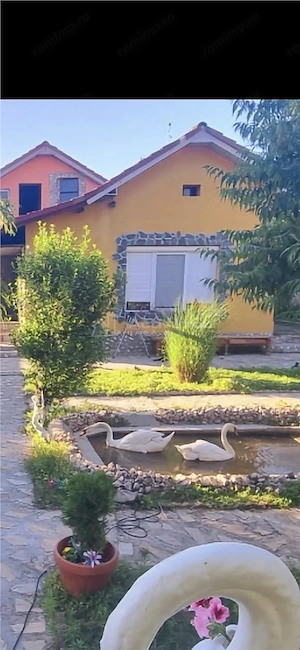 Casa pe sol, teren : 1460 mp - zona Spitalului Municipal - Bariera - imagine 11
