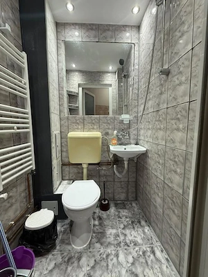 Apartament cu 1 camera de inchiriat – zona Blascovici, Timisoara - imagine 7