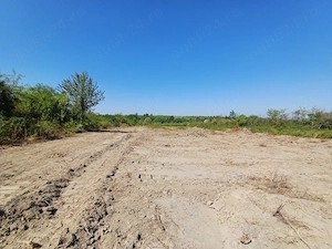 Viile Satu Mare - parcele teren intravilan de vanzare , intre 5 si 10 arii - imagine 5
