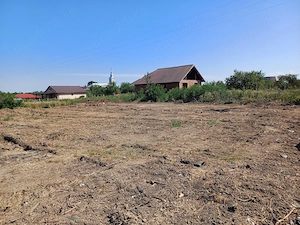 Viile Satu Mare - parcele teren intravilan de vanzare , intre 5 si 10 arii - imagine 7
