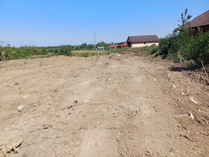 Viile Satu Mare - parcele teren intravilan de vanzare , intre 5 si 10 arii - imagine 6