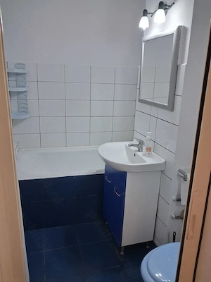 Închiriez apartament cu o cameră, zona Uta  - imagine 2
