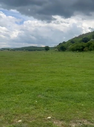 Vând 980m2 de pășune , Sanpetru 