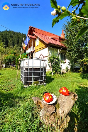 Casă P+M cu teren 1477 mp, TARCǍU, Neamț - imagine 20