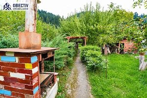 Casă P+M cu teren 1477 mp, TARCǍU, Neamț - imagine 5