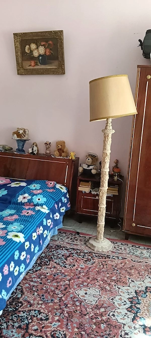 Casă de vânzare la Sibiciu de Sus jud Buzău  - imagine 4