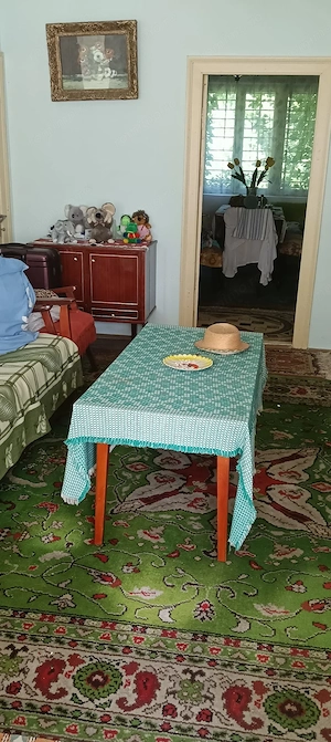 Casă de vânzare la Sibiciu de Sus jud Buzău  - imagine 2