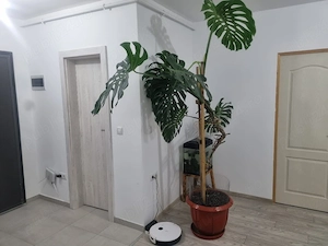 Apartament de vanzare