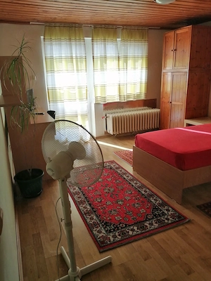 Închiriez 1 camera cu grup sanitar - imagine 5