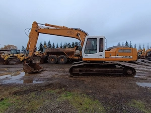 Excavator pe șenile R924 HDSL Litronic 2001, 24,0 tone