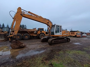 Excavator pe șenile R924 HDSL Litronic 2001, 24,0 tone - imagine 2