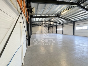 Hala 450 mp + 100 mp birouri, depozitare, service auto, Mosnita - imagine 2