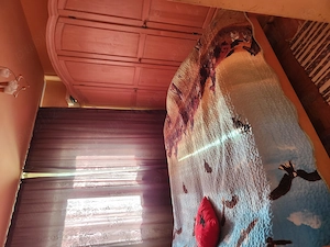 Vând apartament cu 2 camere micro 16 etaj 1 - imagine 5