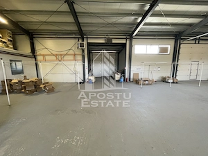 Hala 450 mp + 100 mp birouri, depozitare, service auto, Mosnita - imagine 5