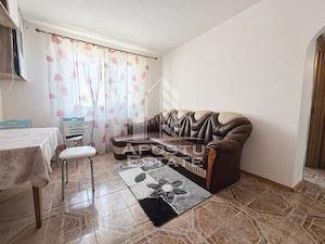 Apartament cu 2 camere de vanzare, Peciu Nou, Judet Timis - imagine 2