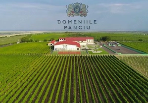 vand struguri de vin cu transport asigurat în toata lumea 