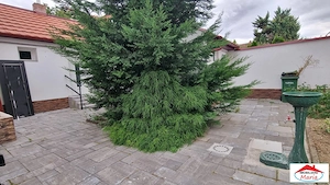 Casa de inchiriat zona semicentrala 600 Euro/luna - imagine 9