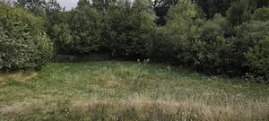 Vand casa cu 52 ari de teren si anexe la 10km de Baia Mare - imagine 5