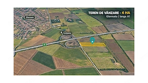 Teren 4 ha – DJ 691 Giarmata | Lângă A1 - imagine 2