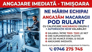 Macaragii pod rulant-  Timisoara