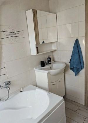 Apartament cu 2 camere de inchiriat – Dumbravita, Str. Rozelor - imagine 9